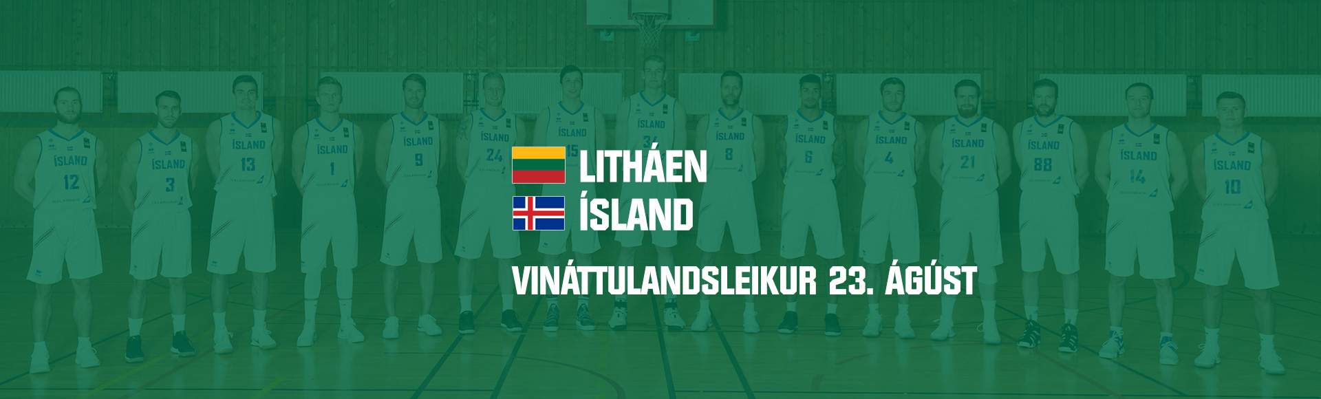 Landslið karla: Leikið við Litháen í kvöld