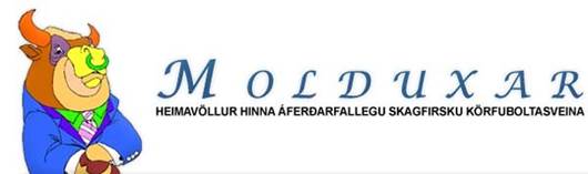 Mynd með frétt